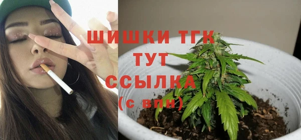 бошки Белокуриха