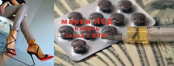 бошки Белокуриха