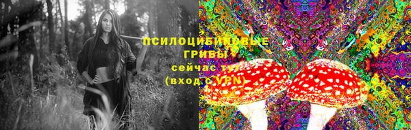 бошки Белокуриха