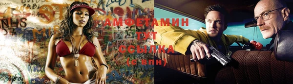 бошки Белокуриха