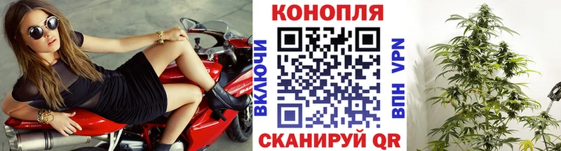 Бошки Шишки тримм  Яблоновский 